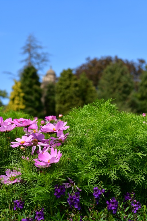 2018-08-04 Nottingham/Wollaton Hall/DSC_3788.JPG